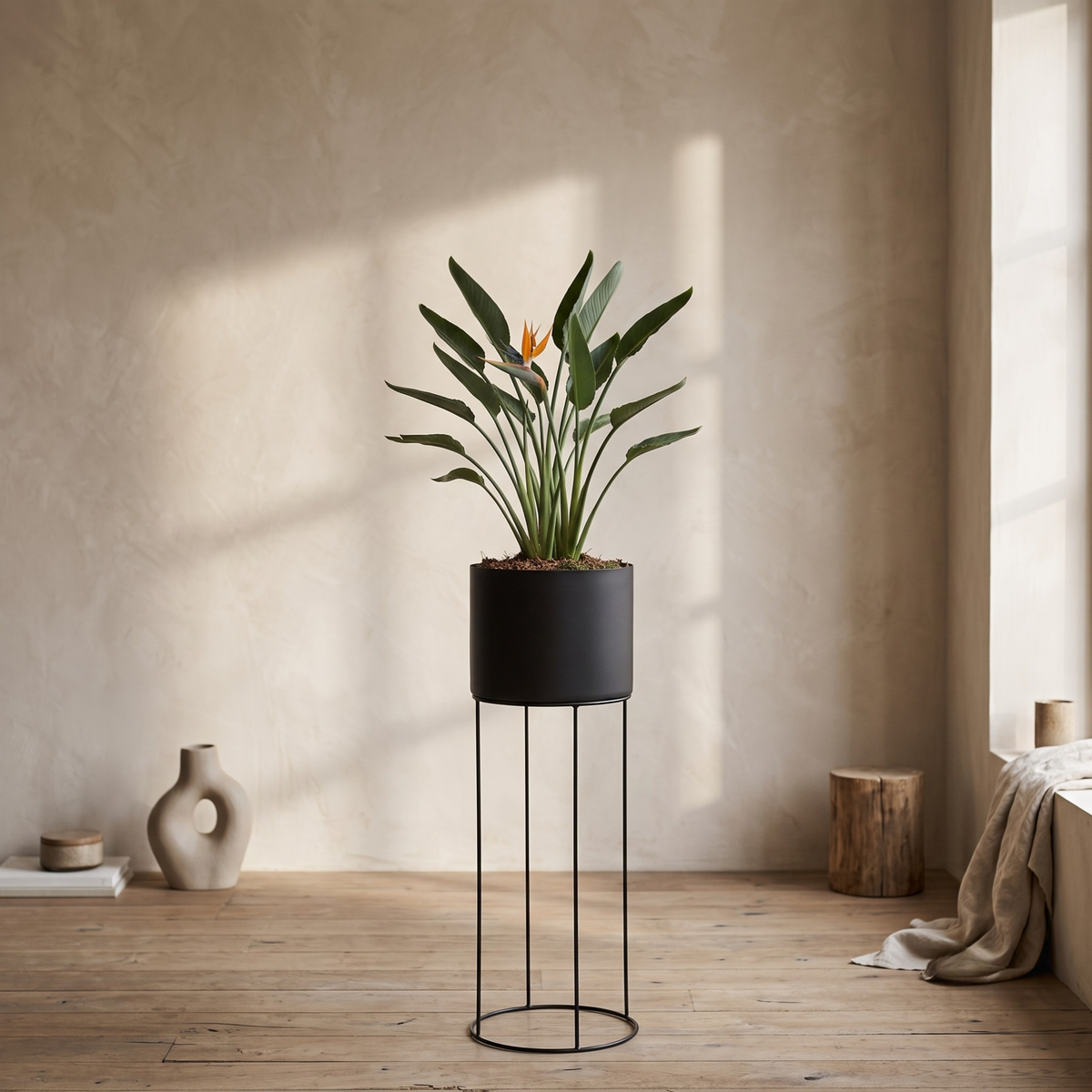 Matte Black Metal Pot Plant Stand