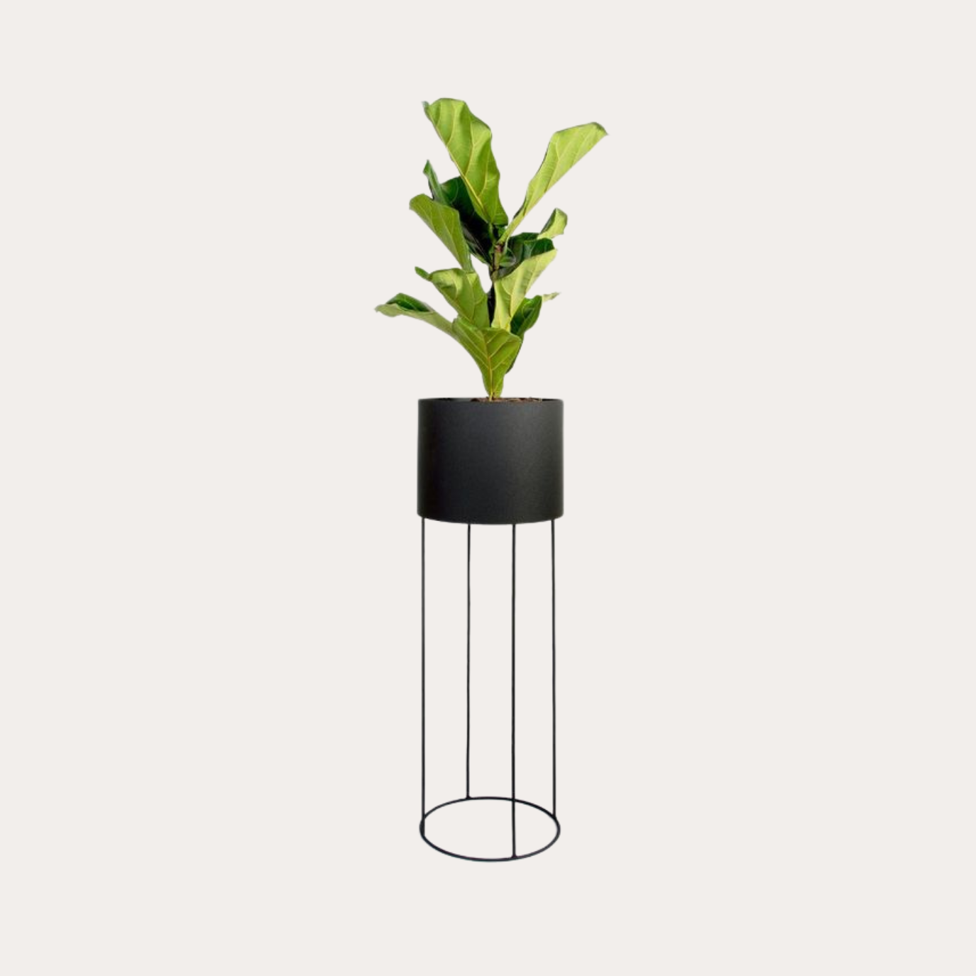 Matte Black Metal Pot Plant Stand
