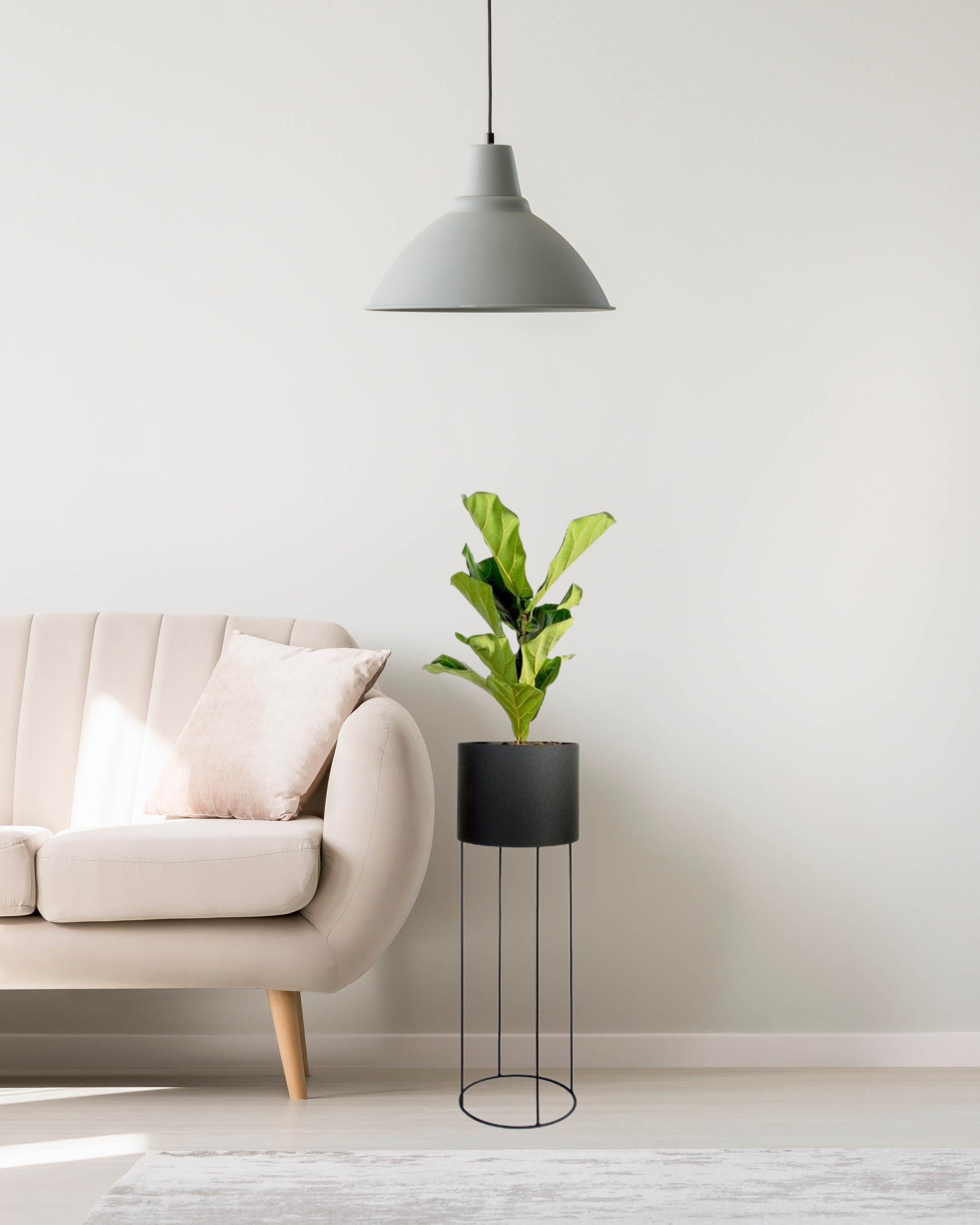 Matte Black Metal Pot Plant Stand