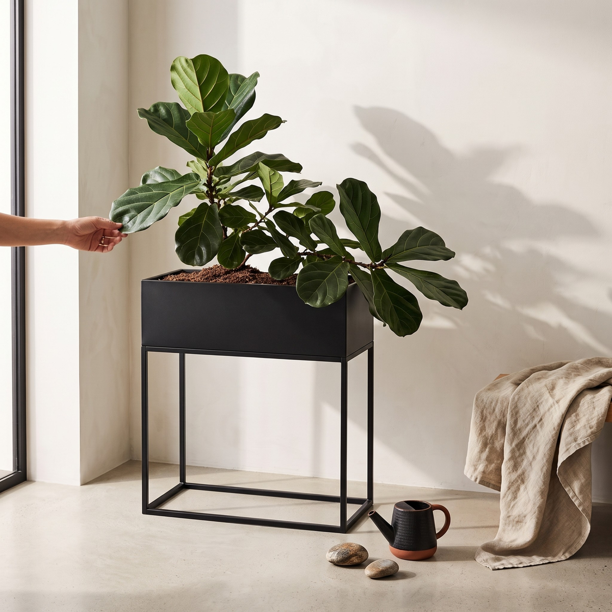 Matte Black Metal Rectangle Plant Stand