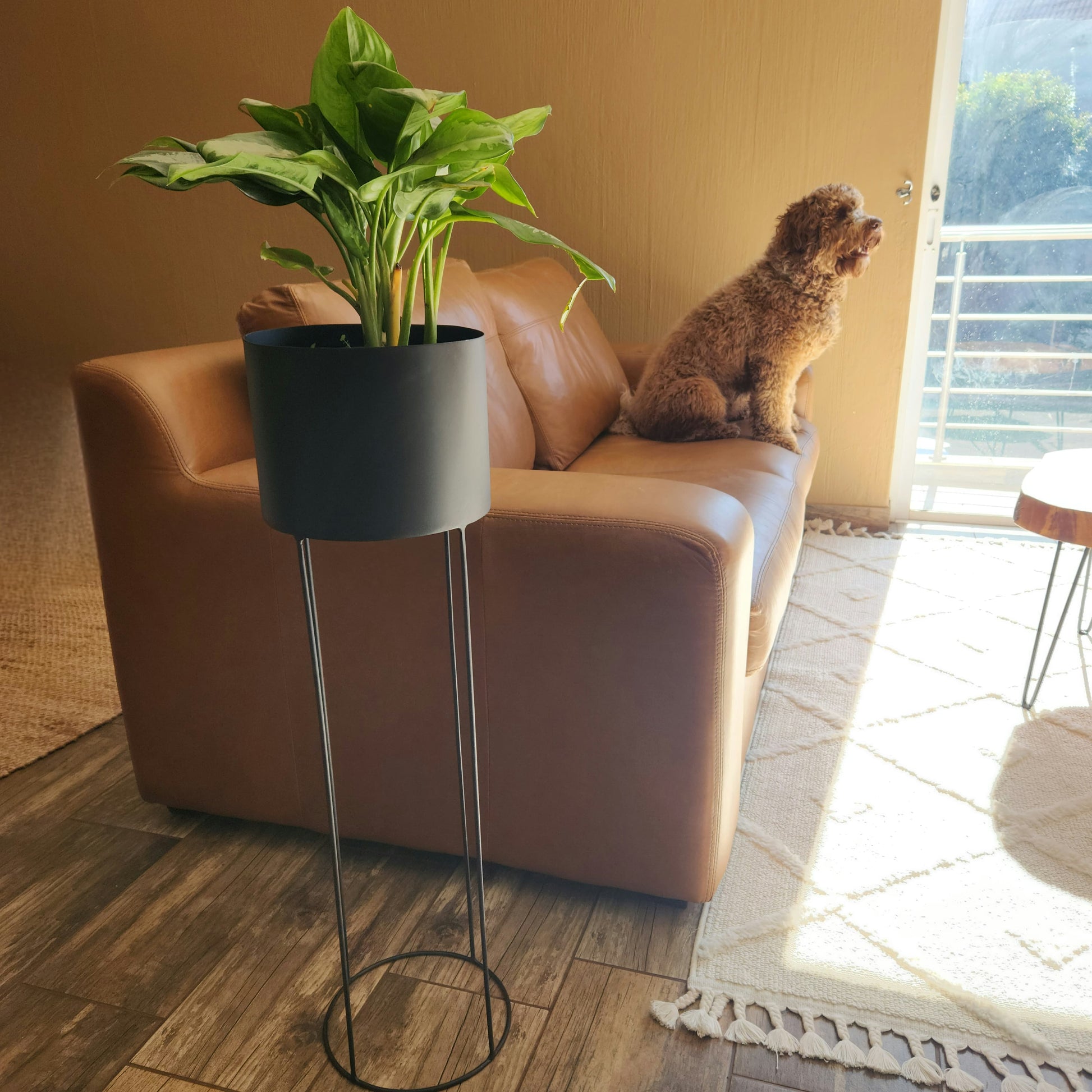 Matte Black Metal Pot Plant Stand